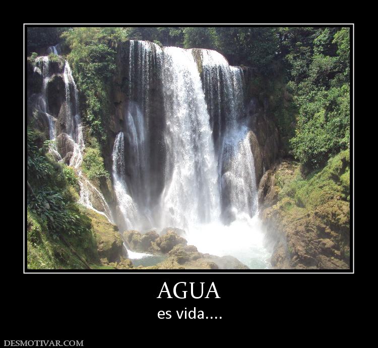 AGUA es vida....