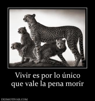 Vivir es por lo único que vale la pena morir