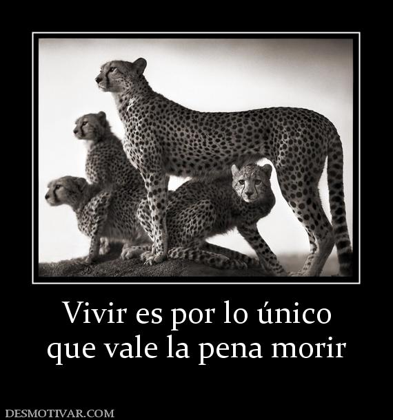 Vivir es por lo único que vale la pena morir