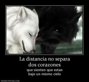 La distancia no separa dos corazones  que sienten que estan bajo un mismo cielo
