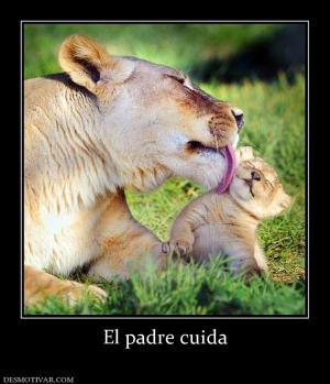 El padre cuida