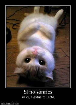 Si no sonríes es que estas muerto