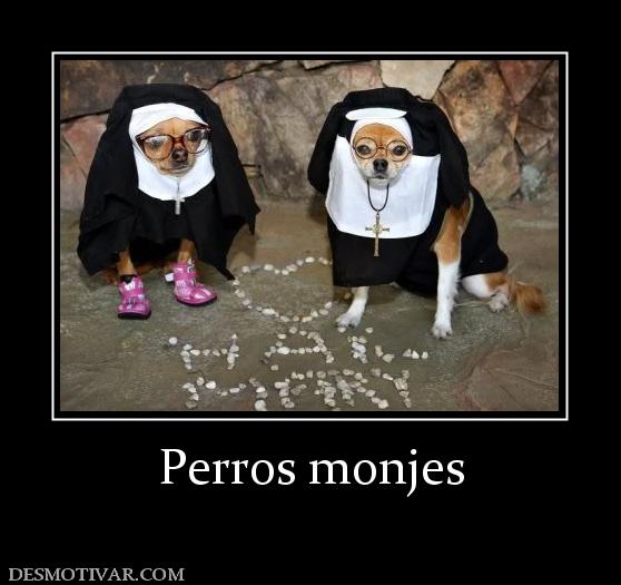 Perros monjes