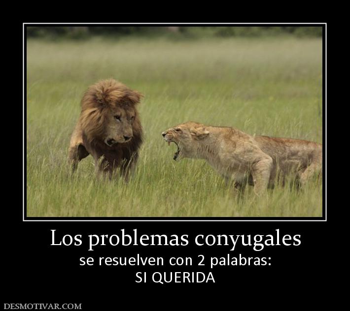 Los problemas conyugales se resuelven con 2 palabras: SI QUERIDA