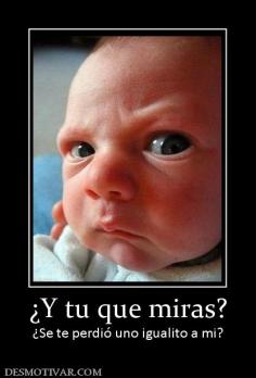 ¿Y tu que miras? ¿Se te perdió uno igualito a mi?