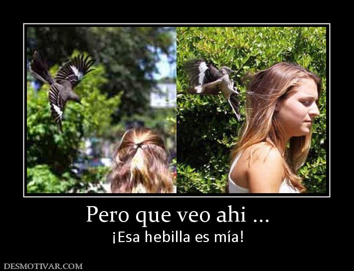 Pero que veo ahi ... ¡Esa hebilla es mía!