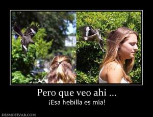 Pero que veo ahi ... ¡Esa hebilla es mía!