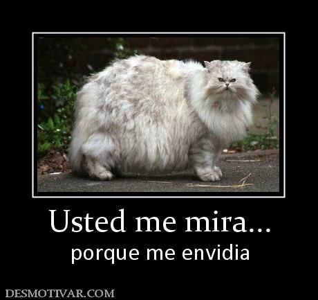 Usted me mira... porque me envidia