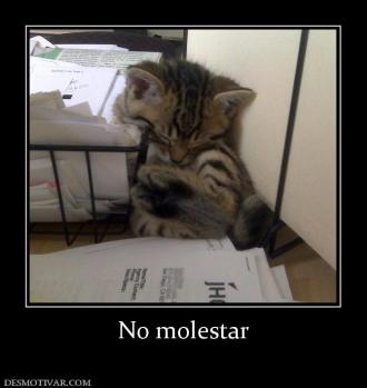 No molestar