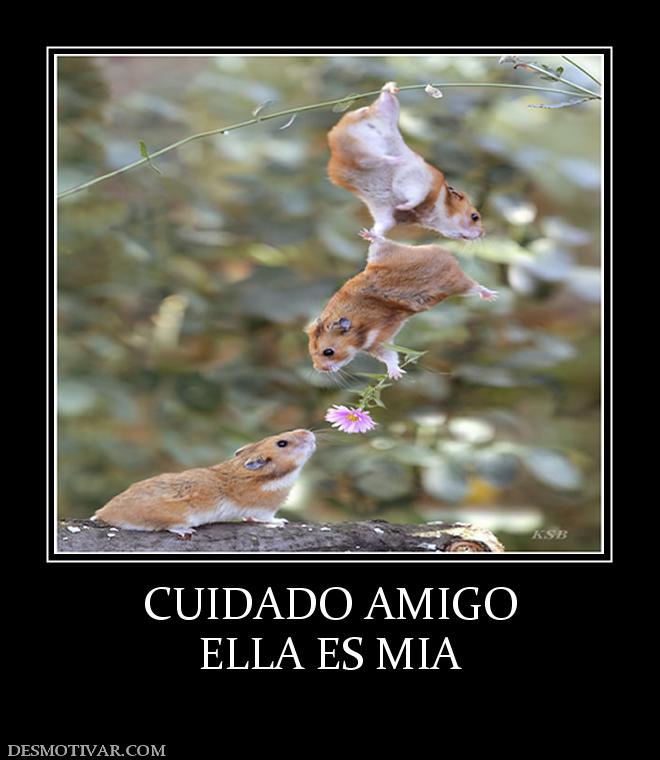 CUIDADO AMIGO ELLA ES MIA