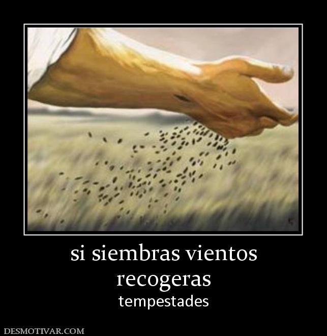 si siembras vientos recogeras tempestades
