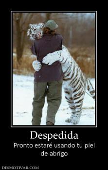 Despedida Pronto estaré usando tu piel de abrigo
