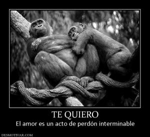 TE QUIERO El amor es un acto de perdón interminable