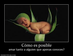 Cómo es posible amar tanto a alguien que apenas conoces?