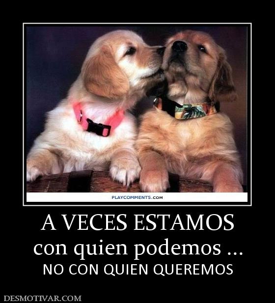 A VECES ESTAMOS con quien podemos ... NO CON QUIEN QUEREMOS