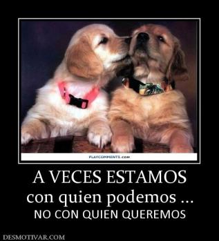 A VECES ESTAMOS con quien podemos ... NO CON QUIEN QUEREMOS