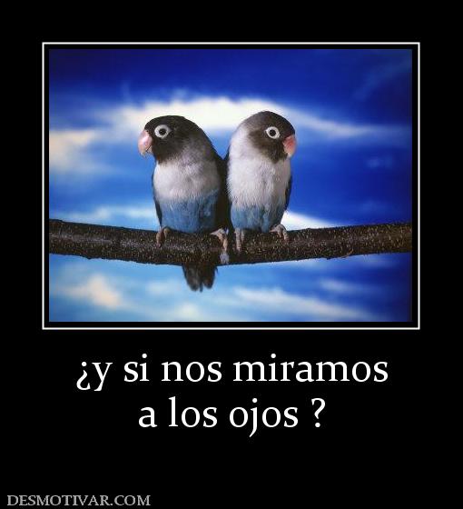 ¿y si nos miramos a los ojos ?