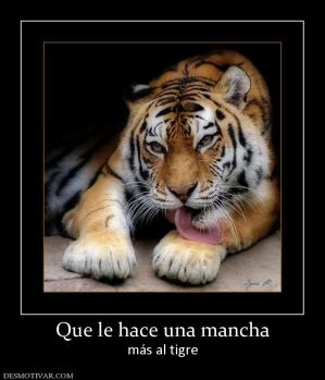 Que le hace una mancha más al tigre