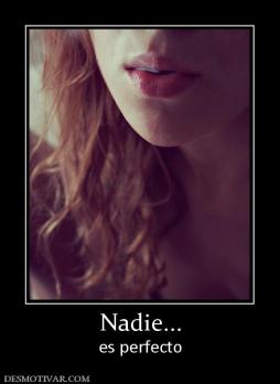 Nadie... es perfecto