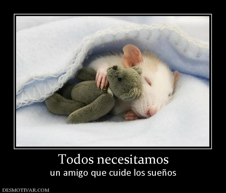 Todos necesitamos un amigo que cuide los sueños