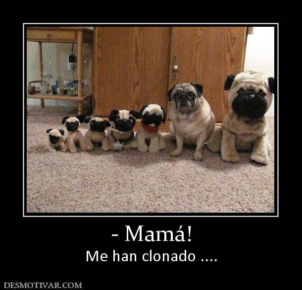 - Mamá! Me han clonado ....