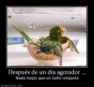 Después de un día agotador ... Nada mejor que un baño relajante