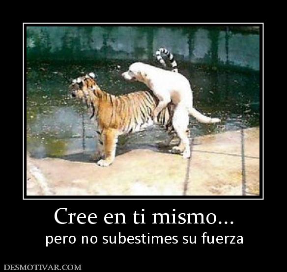 Cree en ti mismo... pero no subestimes su fuerza