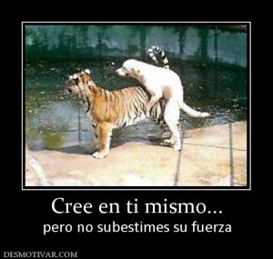 Cree en ti mismo... pero no subestimes su fuerza