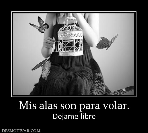 Mis alas son para volar. Dejame libre