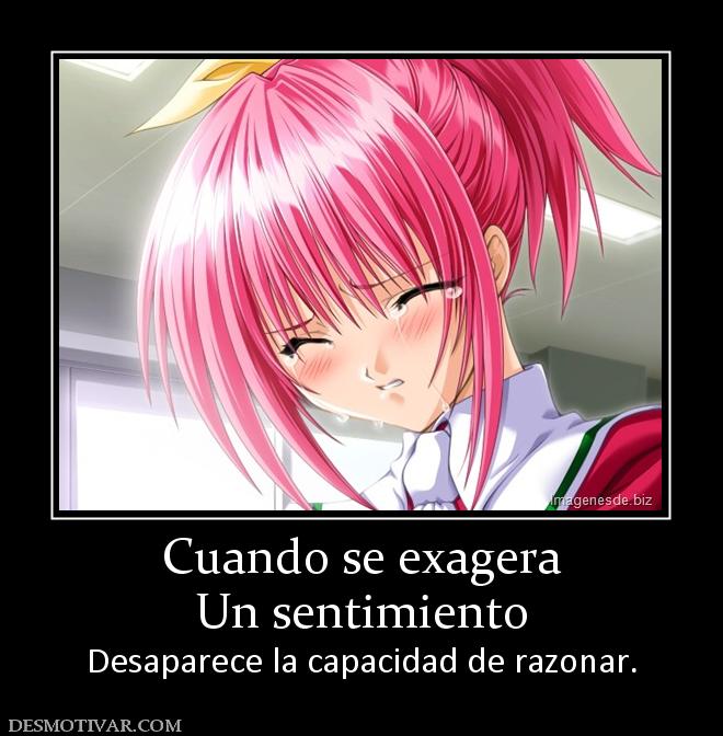 Cuando se exagera Un sentimiento Desaparece la capacidad de razonar.