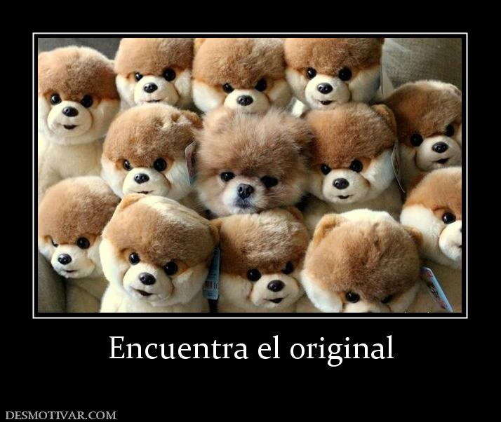 Encuentra el original