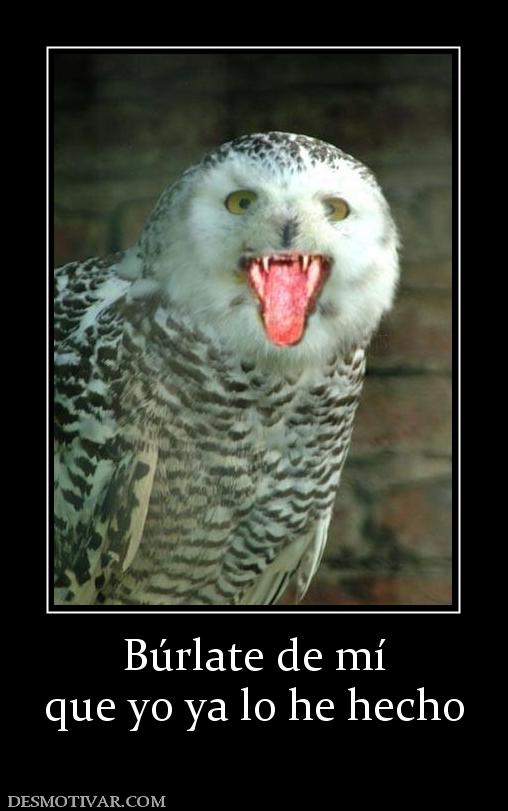 Búrlate de mí que yo ya lo he hecho