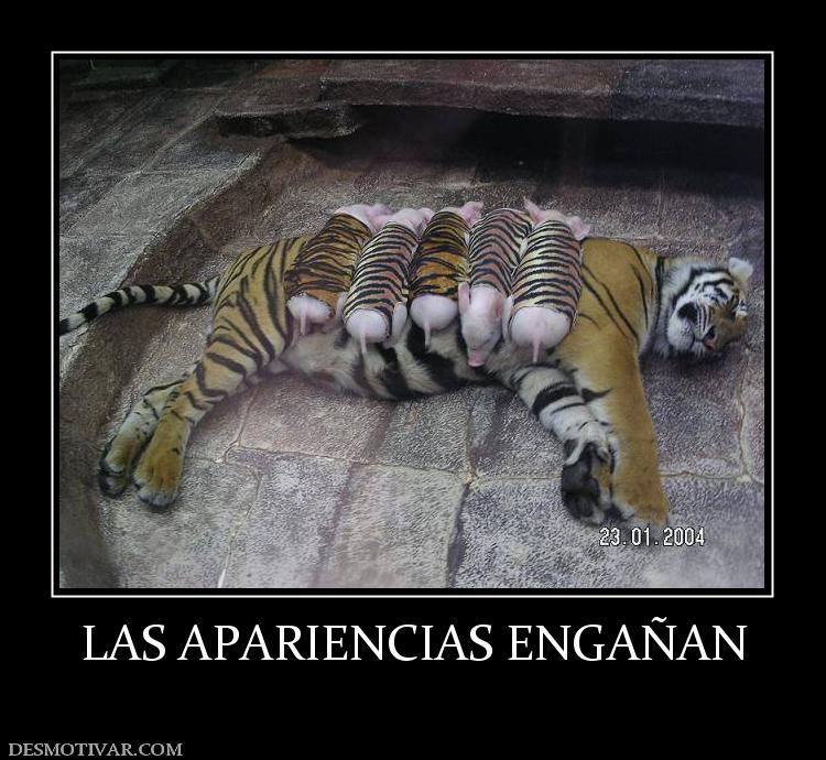 LAS APARIENCIAS ENGAÑAN