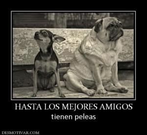 HASTA LOS MEJORES AMIGOS tienen peleas