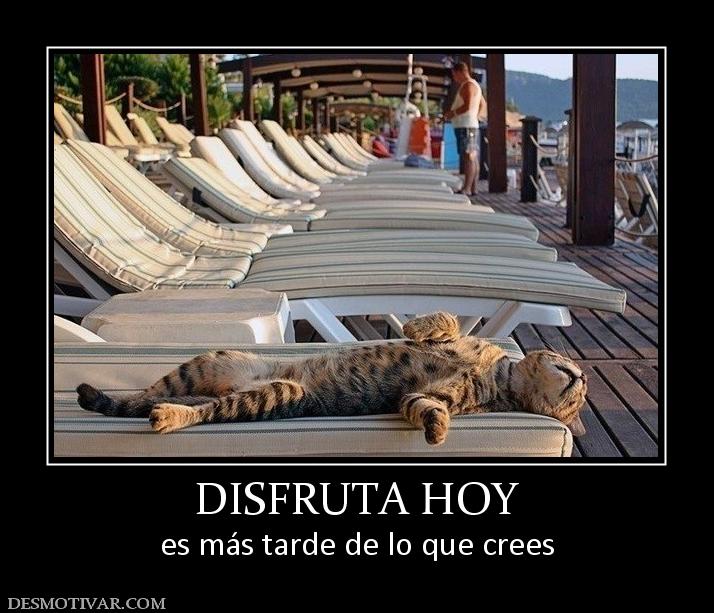 DISFRUTA HOY es más tarde de lo que crees