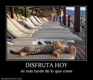 DISFRUTA HOY es más tarde de lo que crees