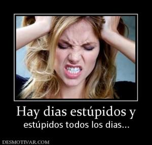 Hay dias estúpidos y estúpidos todos los dias...