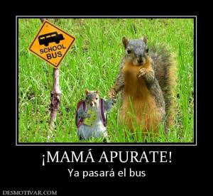 ¡MAMÁ APURATE! Ya pasará el bus