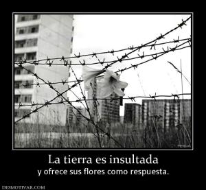 La tierra es insultada y ofrece sus flores como respuesta.