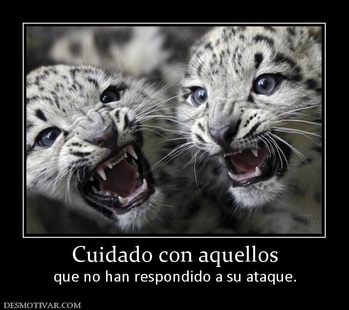 Cuidado con aquellos que no han respondido a su ataque.