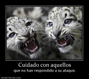 Cuidado con aquellos que no han respondido a su ataque.