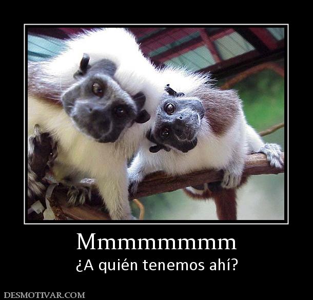 Mmmmmmmm ¿A quién tenemos ahí?