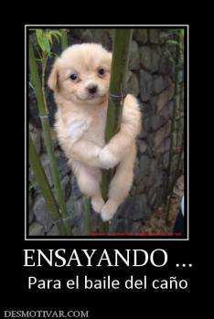 ENSAYANDO ... Para el baile del caño