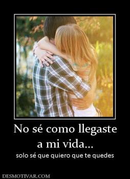 No sé como llegaste a mi vida... solo sé que quiero que te quedes