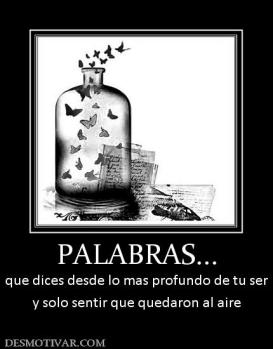 PALABRAS... que dices desde lo mas profundo de tu ser y solo sentir que quedaron al aire