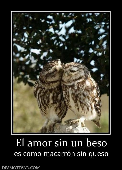 El amor sin un beso es como macarrón sin queso