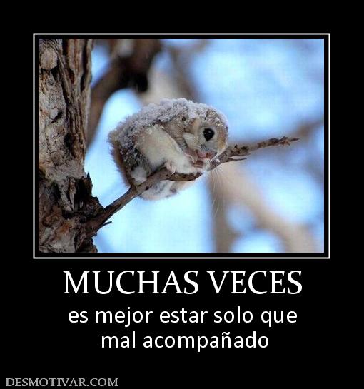 MUCHAS VECES es mejor estar solo que  mal acompañado