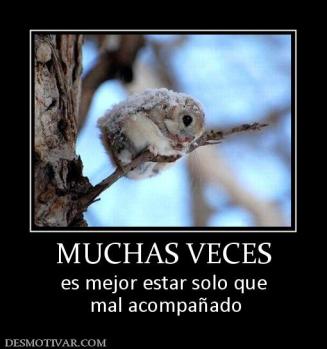MUCHAS VECES es mejor estar solo que  mal acompañado