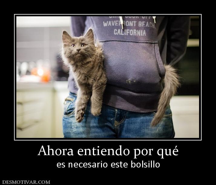 Ahora entiendo por qué es necesario este bolsillo