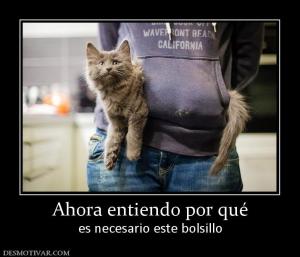 Ahora entiendo por qué es necesario este bolsillo